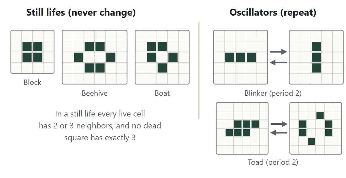 Still lifes and oscillators. The block, beehive and boat never change. The blinker flips between a row and a column of three, and the toad flips between two shapes