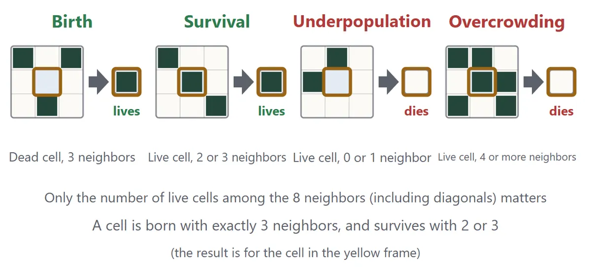 The four rules. Birth: a dead cell with exactly 3 live neighbors comes alive. Survival: a live cell with 2 or 3 live neighbors stays alive. Underpopulation: a live cell with 0 or 1 neighbor dies. Overcrowding: a live cell with 4 or more neighbors dies