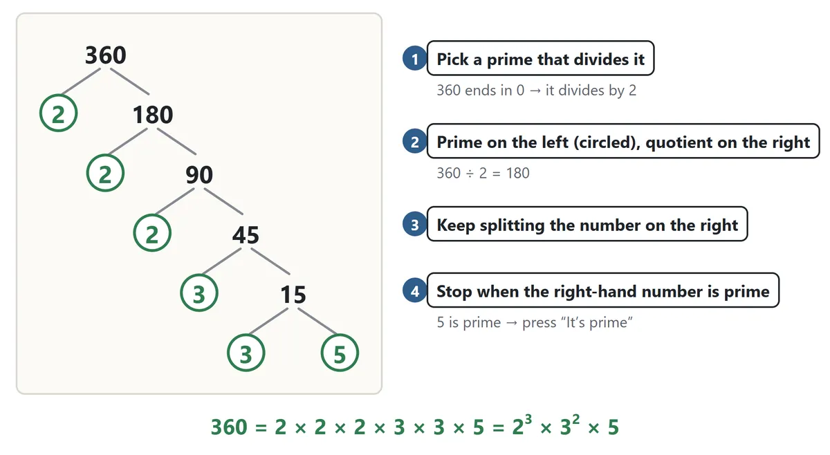 A factor tree for 360. 360 splits into 2 and 180, 180 into 2 and 90, 90 into 2 and 45, 45 into 3 and 15, and 15 into 3 and 5. Every prime is circled. Below: 360 = 2 × 2 × 2 × 3 × 3 × 5 = 2 cubed × 3 squared × 5