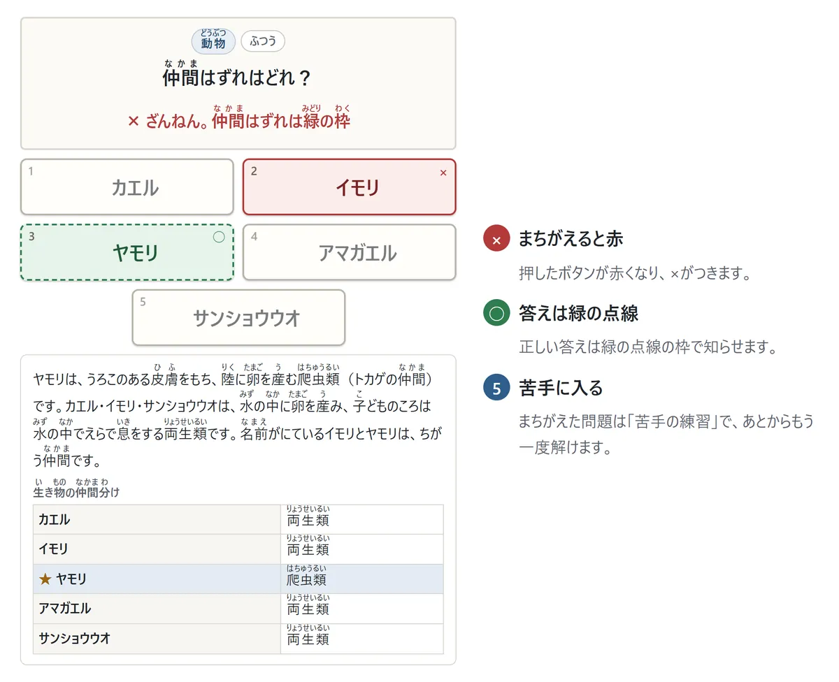 まちがえたときの図。イモリを選んで赤く×。正しい答えのヤモリは緑の点線の枠。下の表で、カエル・イモリ・アマガエル・サンショウウオは両生類、ヤモリだけが爬虫類