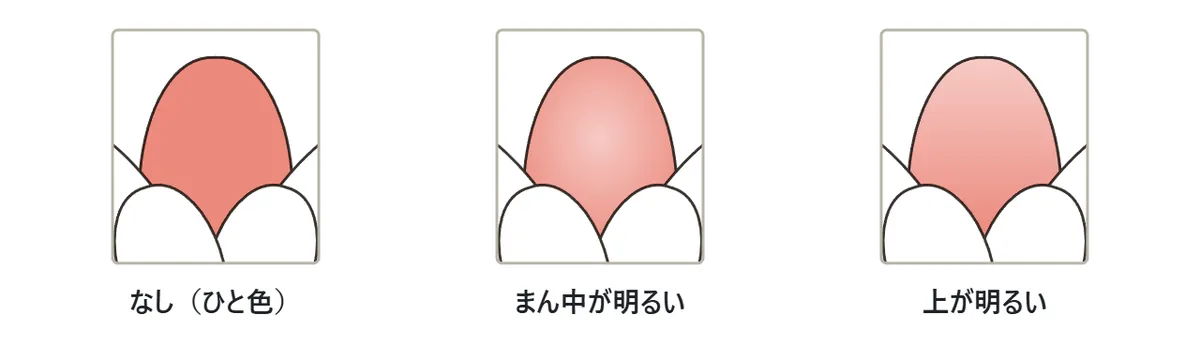 同じ花びらを3通りに塗った比べ。左はひと色、真ん中はまん中が明るく外に向かって濃くなる、右は上が明るく下に向かって濃くなる