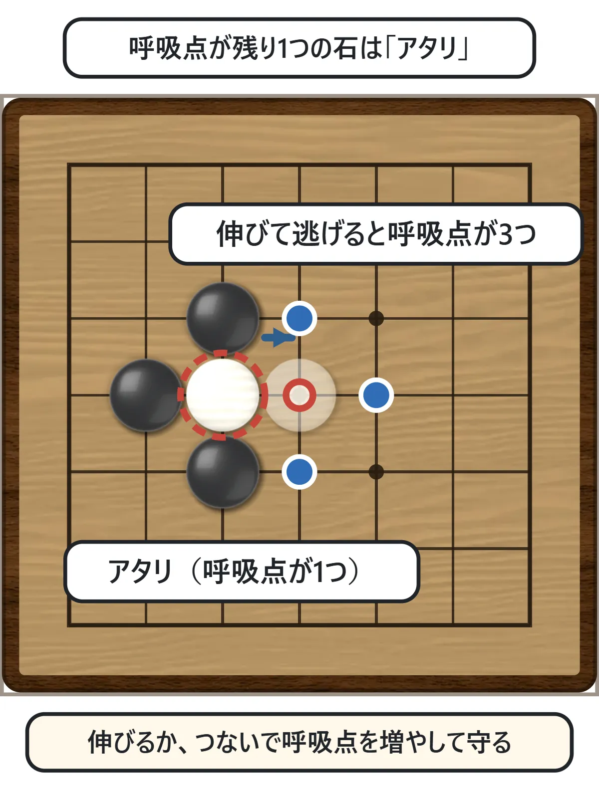 呼吸点が1つになった白石に赤い点線の輪。白はその点に伸びて逃げると呼吸点が3つに増える