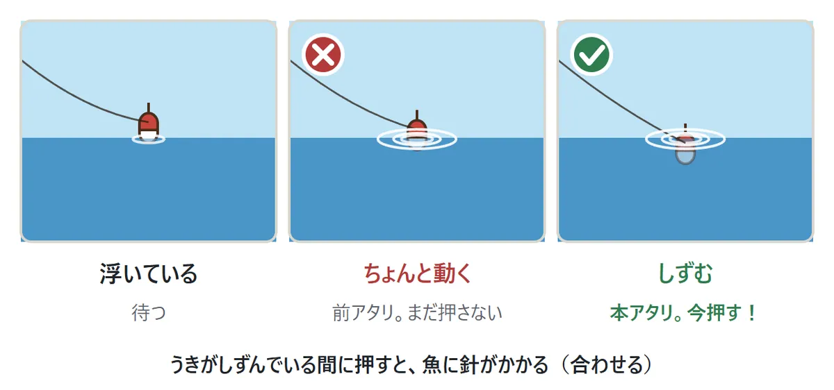 アタリの図。うきが浮いているときは待つ。うきがちょんと動くのは前アタリで、まだ押さない。うきが水の中にしずんだら本アタリで、今押すと魚に針がかかる